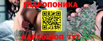 дмт Анапа