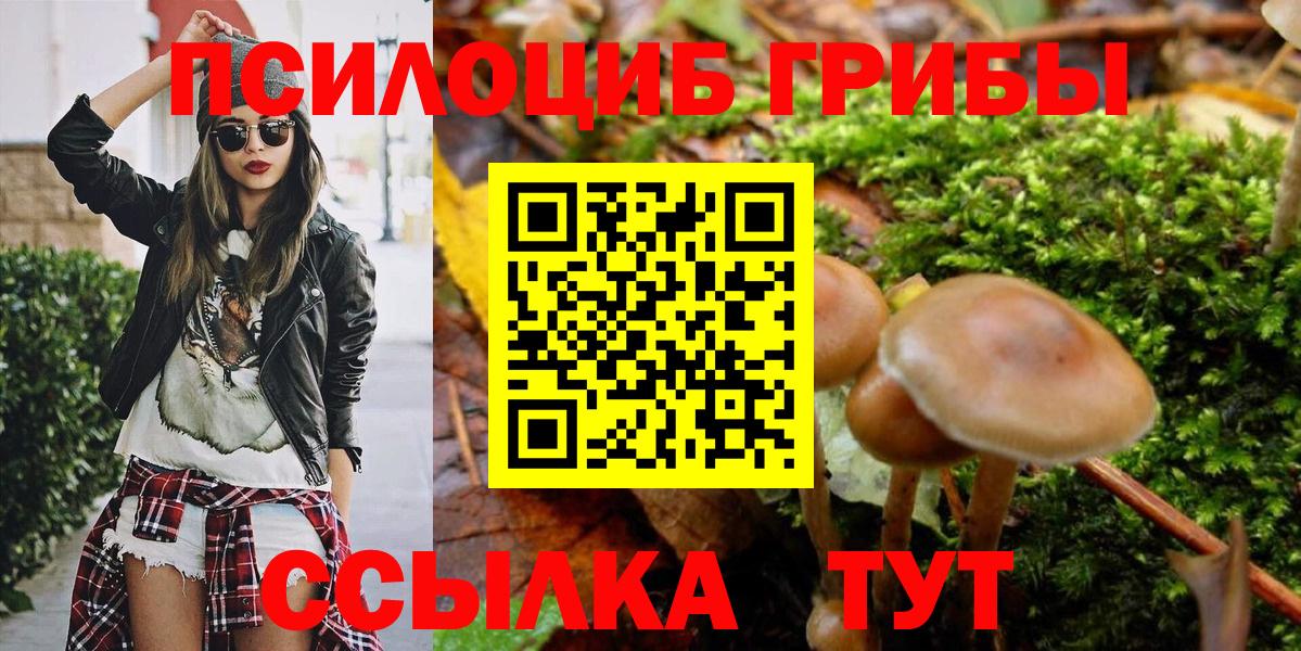 Галлюциногенные грибы Psilocybine cubensis  цена   Сегежа  Вход с VPN 